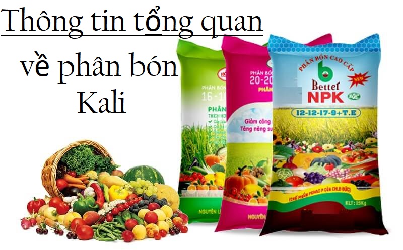 Tổng quan về phân bón kali
