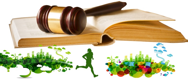 Phần kết báo cáo