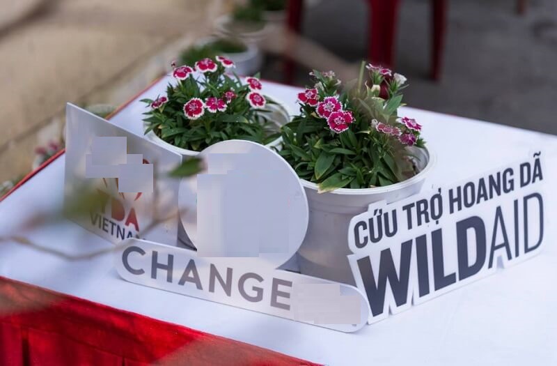 Phân loại tổ chức phi chính phủ