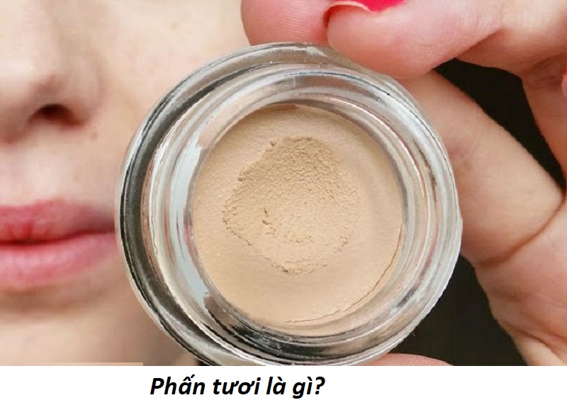 Phấn tươi là gì