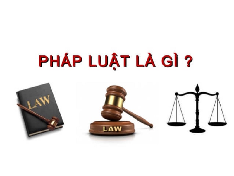 Hiểu pháp luật là gì?