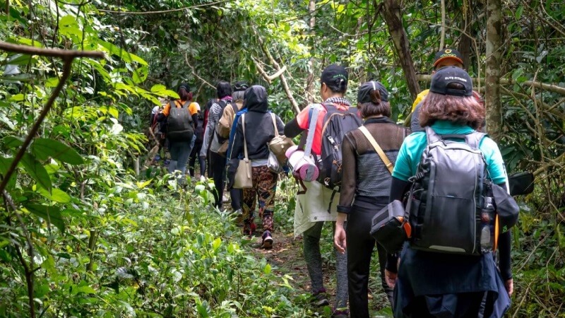 Mặc trang phục kín đáo để tránh bị ong đốt