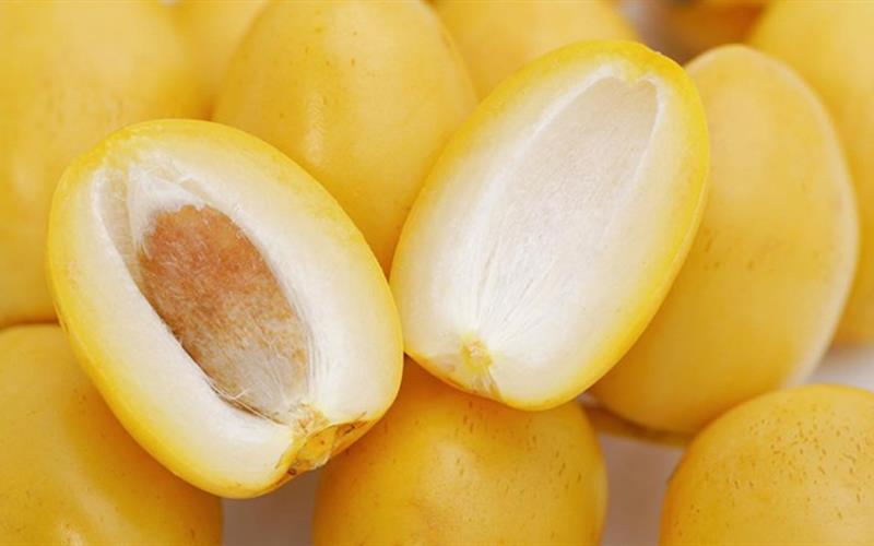 Phòng tránh nhiều bệnh lý cho cơ thể