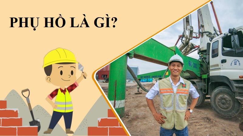 Phụ hồ là gì
