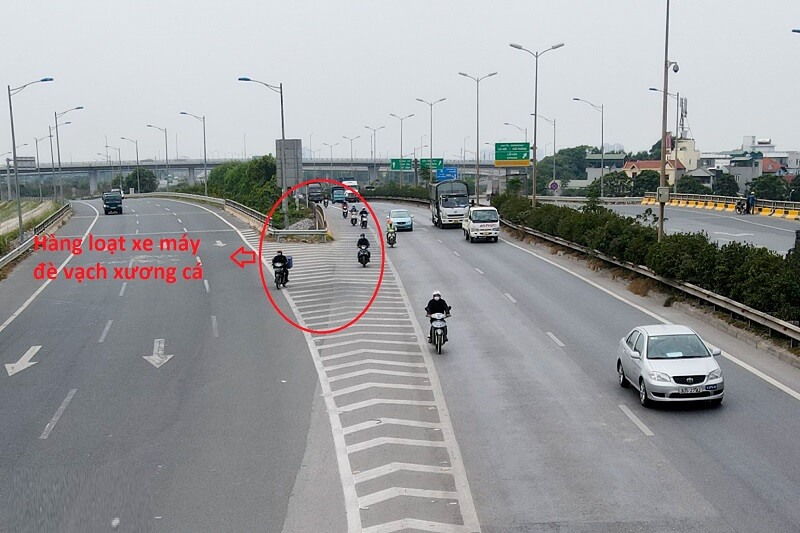 Hiểu rõ vạch xương cá để làm gì nhằm tránh vi phạm