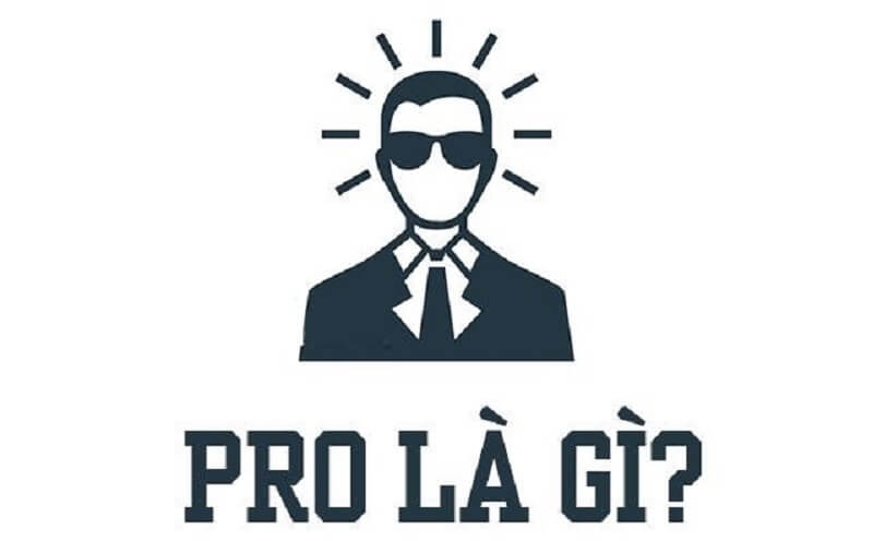 Giới trẻ thường xuyên sử dụng từ pro