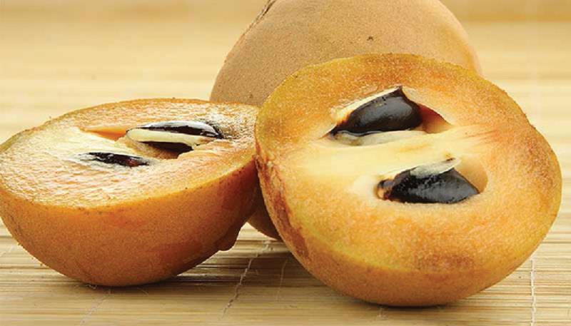 Giảm ho nhờ quả hồng xiêm