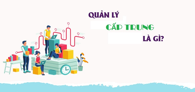 Quản lý cấp trung là gì