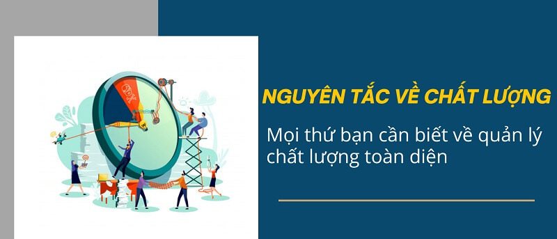 Tổng hợp nguyên tắc quản lý chất lượng