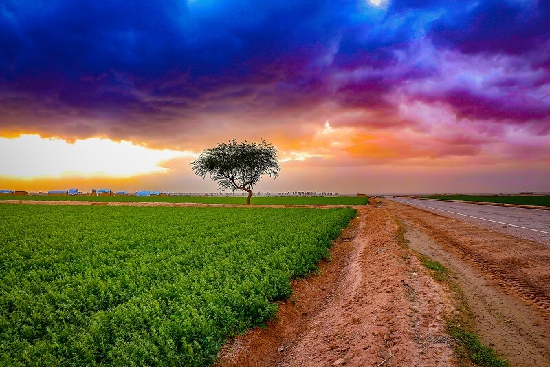 Khái niệm quản lý đất đai