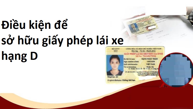 Điều kiện để bạn sở hữu giấy phép lái xe hạng D là gì