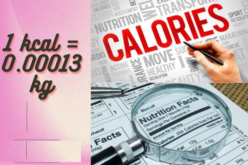 Quy đổi Kcal sang kg