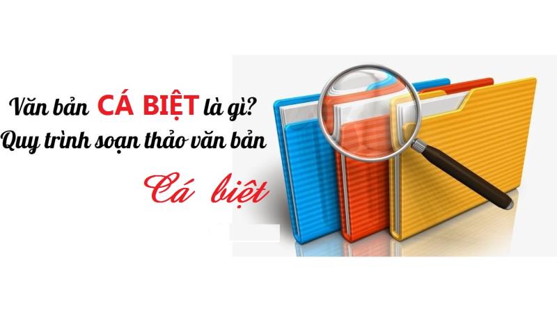 Bạn hiểu biết về mẫu quyết định cá biệt như thế nào?