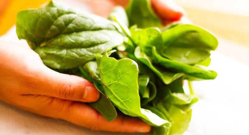 Rau Spinach hỗ trợ điều trị bệnh tiểu đường