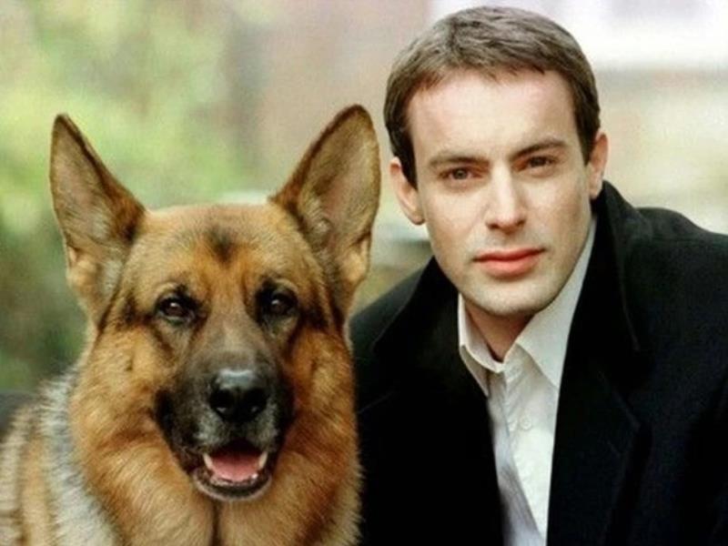 Becgie Đức với vẻ ngoài đẹp mã và to lớn