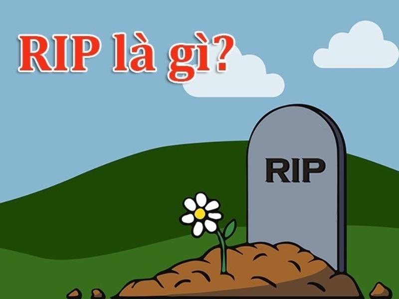 Tìm hiểu RIP là gì