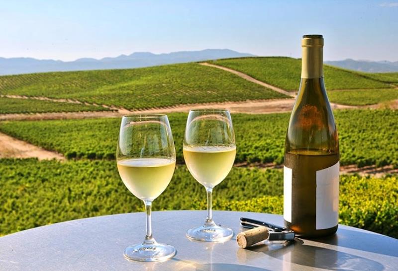 Tìm hiểu rượu vang trắng là gì