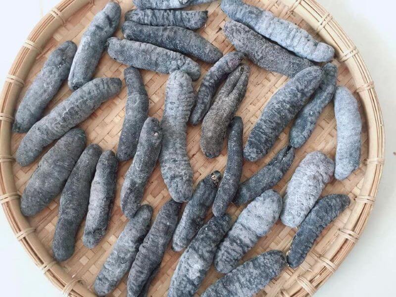  Lưu ý khi sử dụng sâm biển