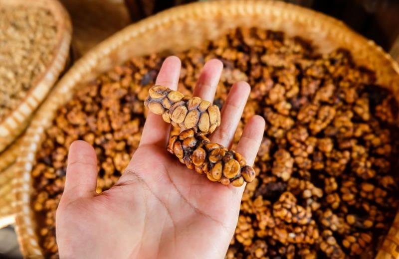 Quy trình sản xuất cafe chồn