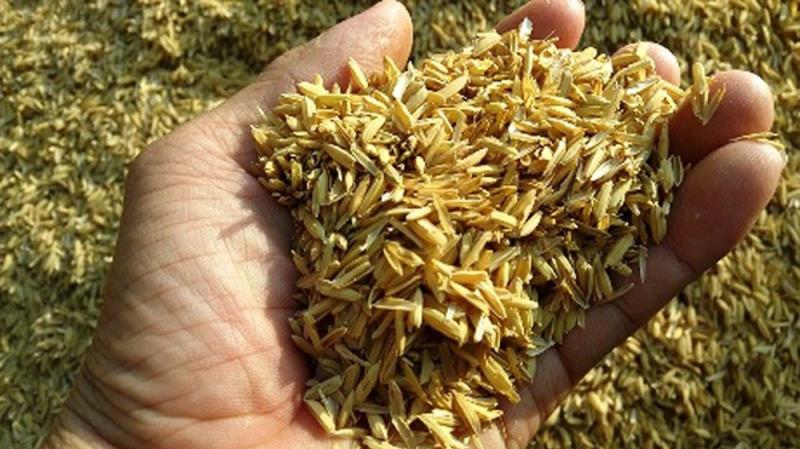 Sản xuất gas sinh học