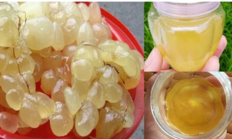 Mỡ trăn có tác dụng làm se khít lỗ chân lông