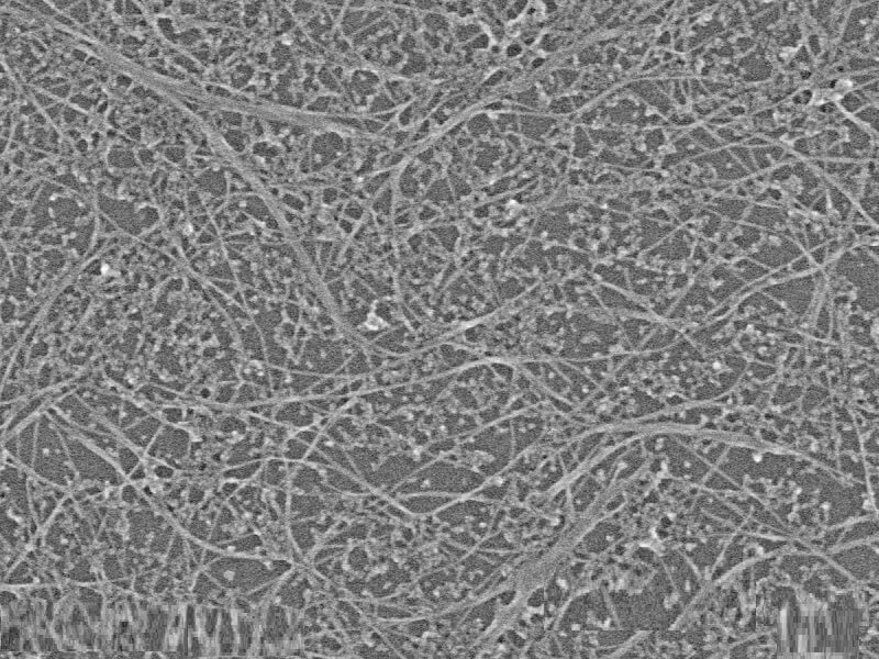 Keo đất bao gồm những loại nào