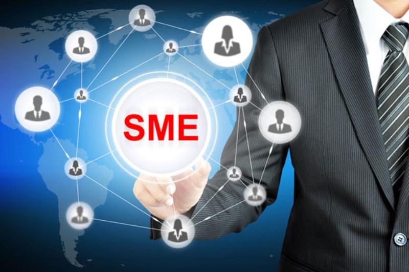 Đặc điểm của doanh nghiệp SME