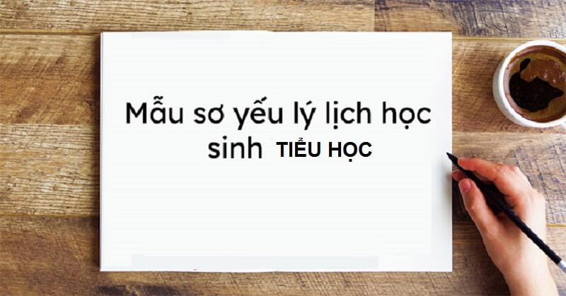 Mẫu sơ yếu lý lịch học sinh tiểu học dễ kê khai