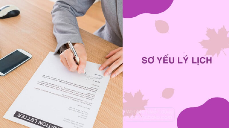 Sơ yếu lý lịch in 1 mặt hay 2 mặt có quá quan trọng