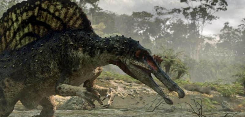 Spinosaurus là gì? Loài khủng long ăn thịt lớn nhất cổ đại