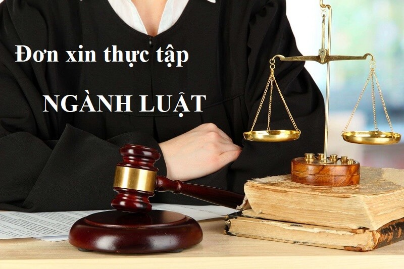 Sự cần thiết của đơn xin thực tập ngành luật đối với sinh viên
