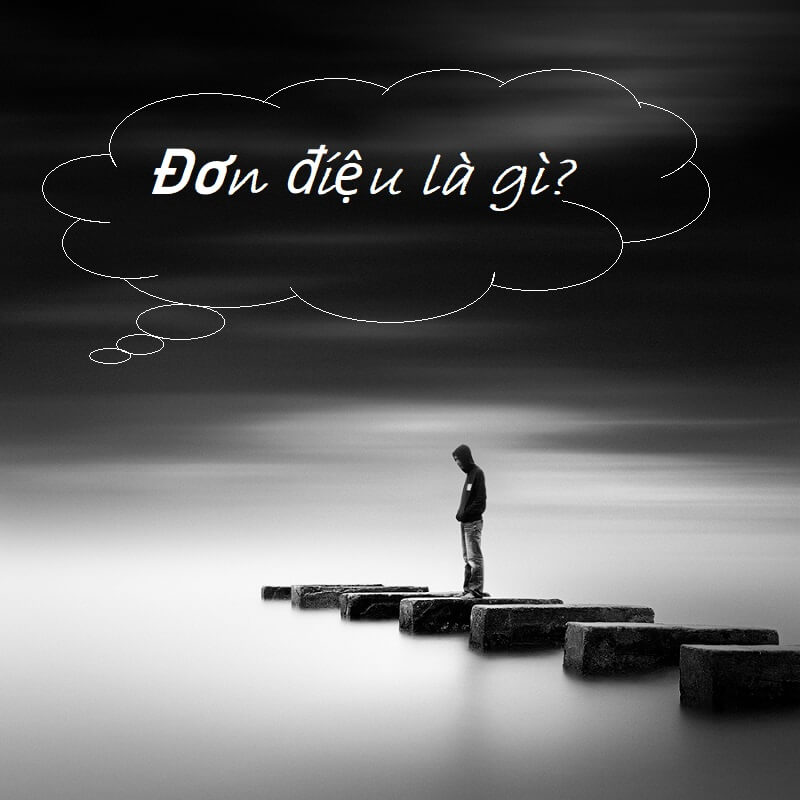 Khái niệm đơn điệu được hiểu là gì