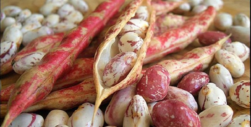 Chắc khỏe xương và sáng da