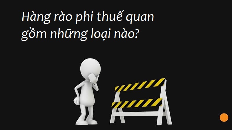 Sự phân loại đối với hàng rào phi thuế quan