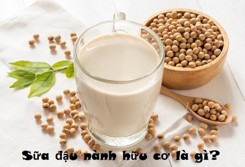 Sữa đậu nành hữu cơ là gì