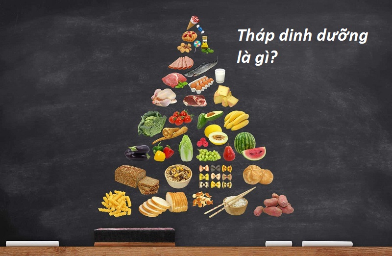 Tháp dinh dưỡng là gì