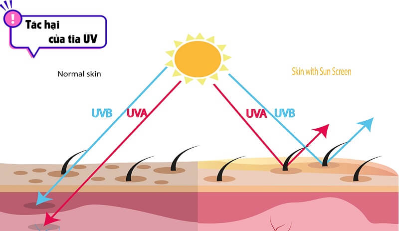 Tia UV có tác hại đối với làn da