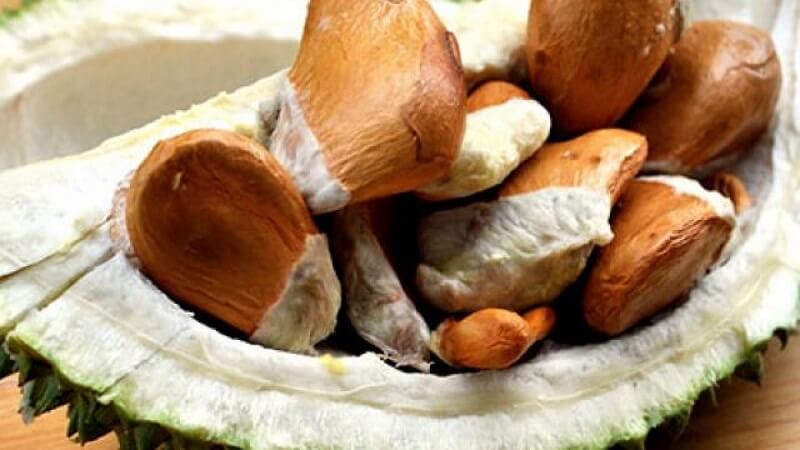 Tìm thấy rất nhiều công dụng từ hạt sầu riêng