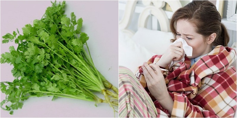 Tăng thêm sức đề kháng