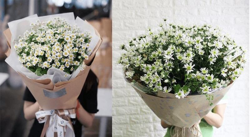 Tặng cúc họa mi cho người con gái mà bạn yêu quý và kính trọng