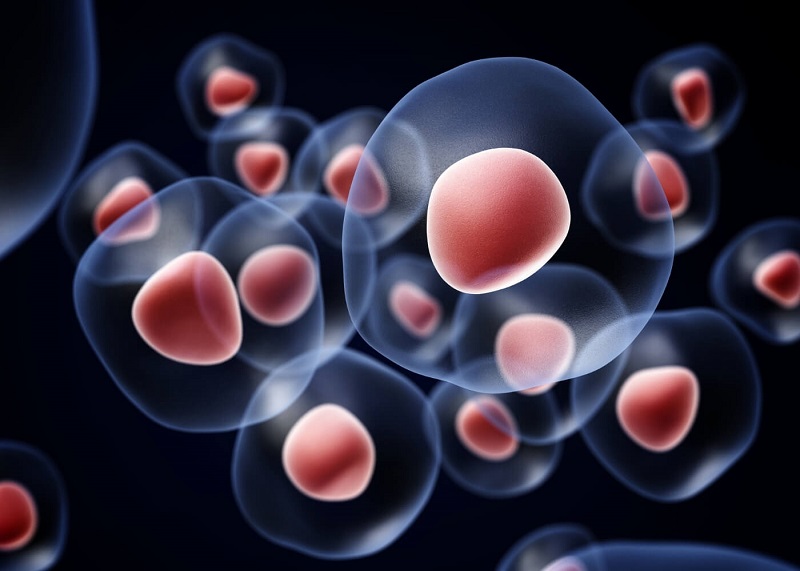 Tế bào là đơn vị nhỏ nhất cấu thành nên sinh vật