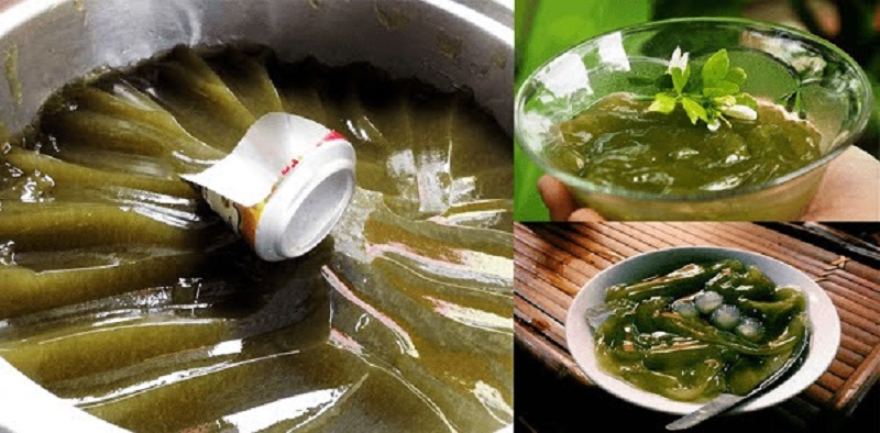 Phân biệt thạch găng và sương sâm