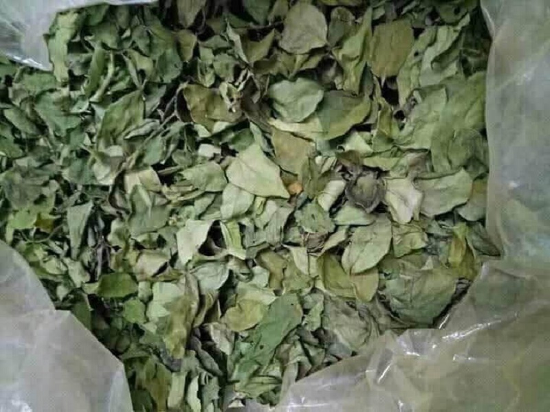 làm từ lá găng khô