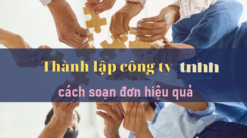 Hướng dẫn chi tiết cách soạn nội dung trong đơn đăng ký thành lập đối với công ty tnhh