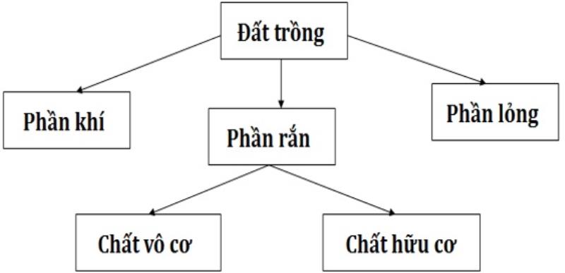 Làm rõ thành phần và tính chất đặc trưng của đất trồng