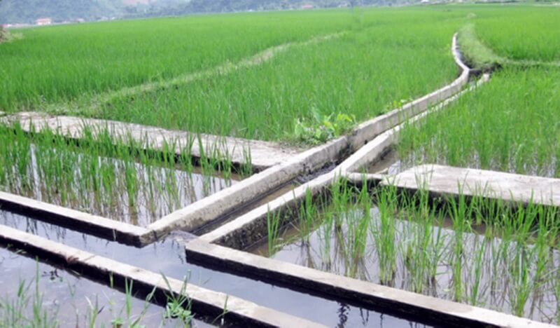 Ngành này đã được xây dựng hơn 900 hệ thống thủy tinh