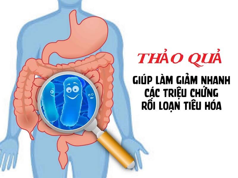 Thảo quả hỗ trợ tốt cho hệ tiêu hóa