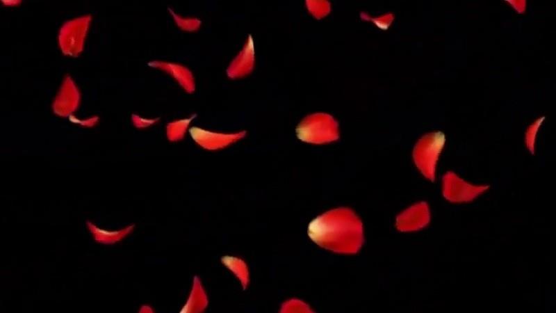 Làm Background bằng ảnh động