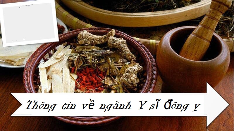 Tìm hiểu về ngành Y sĩ đông y