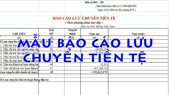 Phân loại theo loại hình hoạt động trong báo cáo